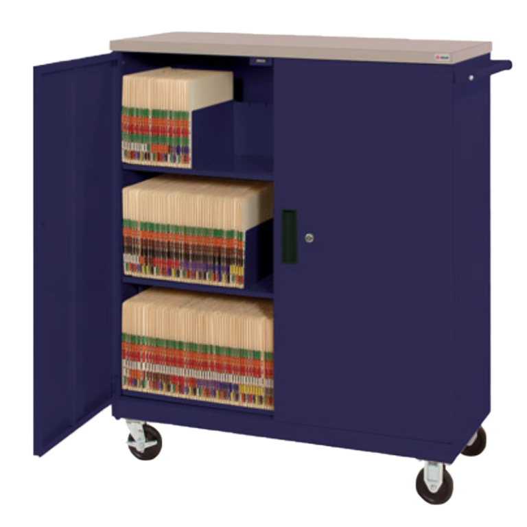 File Systems & Shelving Datum High Density Storage Systems